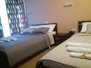 B&B Vila Vidikovac - Aranđelovac - 5
