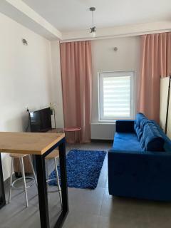 Apartamenty pod Wierzbami - Dwikozy - 1