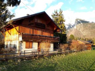 Appartement calme près du lac avec jardin, terrasse, parking et WiFi - FR-1-624-45 - Samoëns - 7