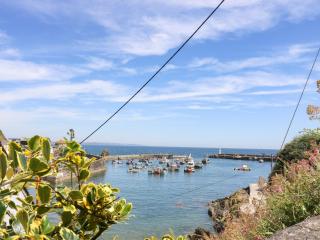 Polkirt Forge - Mevagissey - 9