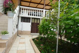 Wisteria - Tivat - 4