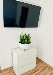 Apartament na Spółdzielczej - Radzyń Podlaski - 7