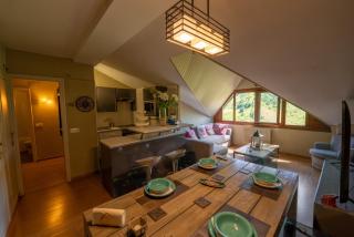 Apartamentos Formigal - Formigal - 9