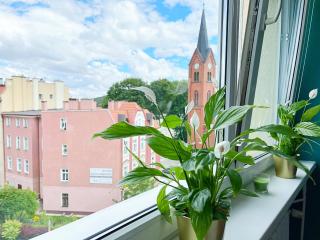 Apartament Parkowy - Wałbrzych - 4