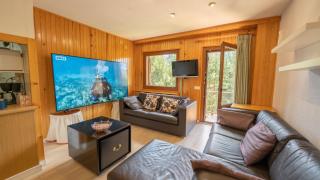 Apartamentos Formigal - Formigal - 9