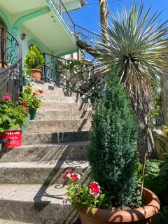 Green House - Kobuleti - 9
