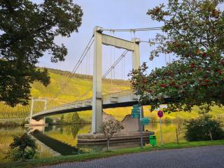 Sonnenufer Apartment & Moselwein II - Bernkastel-Kues - 8