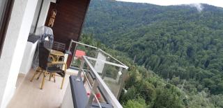 Green FOREST Resort Colina Marei - Sinaia - 3