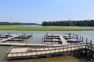 Surry Seafood Company - Surry - 9