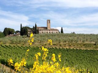 Fattoria Abbazia Monte Oliveto - San Gimignano - 4
