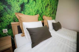 Greenland Apartments - Cēsis - 8