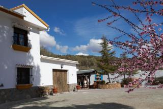 Casa de las Montañas - Villanueva del Trabuco - 8
