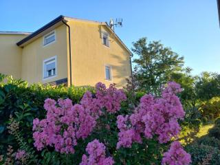 Apartment Lavanda - Tar - 0
