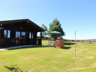 Holly Lodge - Bodmin - 0