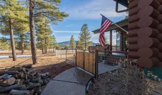 Cozy Custom Cabin In The Pines-Williams AZ - Williams - 8