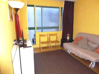 Studio cosy 4 pers, à deux pas des pistes, balcon, parking gratuit - FR-1-602-106 - Arette - 0