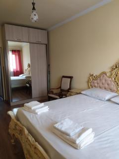 Apartment on Tumanyan street,19 - Erevan - 9
