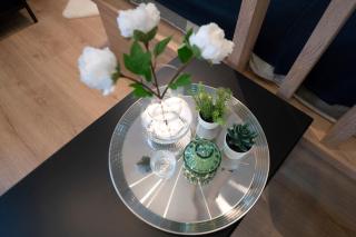 Kościuszki Green Apartment - 4