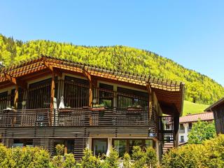 Chalet with 2 apartments in Gasteig in Tyrol - 4