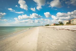 Seashell 19 - Clearwater Beach - 6