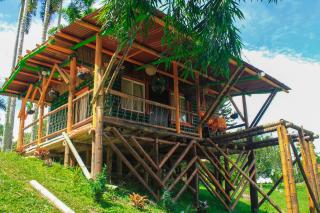Room in Lodge - Glamping Cabin - Risaralda - 0