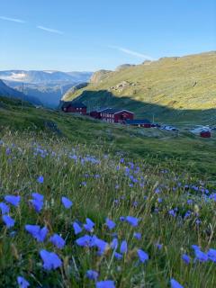 Krossbu - Boverdalen - 7