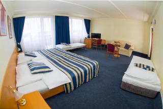 TOP HOTEL Praha - Prague - 4