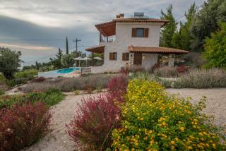 Villa Agapi - Athani - 8