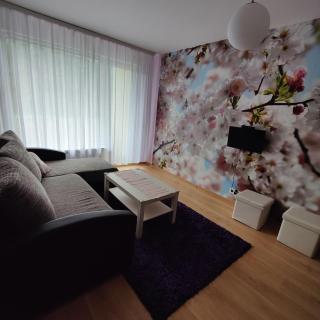 Dainai Apartament - Šiauliai - 0