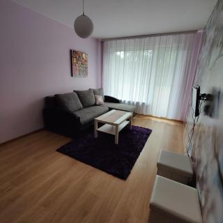 Dainai Apartament - Šiauliai - 5