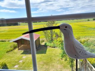 Ferienhaus Robby - 8