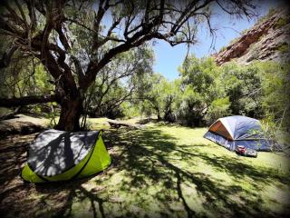 Lylius Cottage and Campsites - Clanwilliam - 9