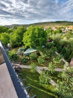 Pensiunea Daiana Residence - Turda - 5