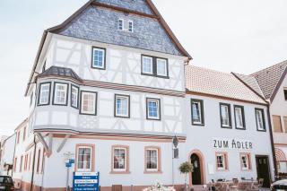 Gasthaus Zum Adler - Großwallstadt - 0