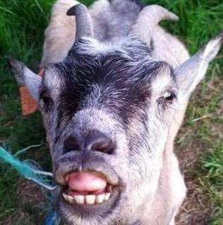 Agroturystyka,, Ranczo Kruszynki" - 2