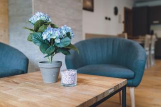 Premium Apartments Areit by we rent - Zell am See - 1