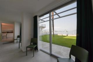 Palm on the lake - Baveno - 8