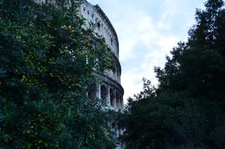 Holiday home Zia Gina - Roma - 7
