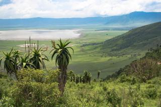 Africa Safari South Serengeti Ndutu Ngorongoro - Sinoni - 7