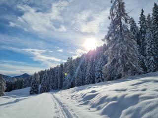 Chalet Chapeau RaR - Castel Condino - 2