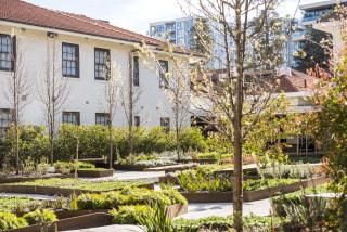 Peppers Gallery Hotel - Canberra - 4