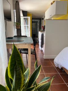 Gîte cosy sur jardin - Moëlan-sur-Mer - 5
