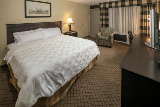 Holiday Inn Detroit Lakes by IHG - Detroit Lakes - 6