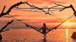 Cape Rose - Gili Trawangan - 1