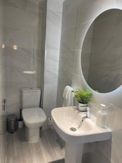 PREMIUM MALAGUETA SUITE - 9