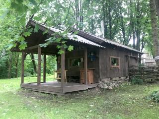 Medže dirbtuve - - 9