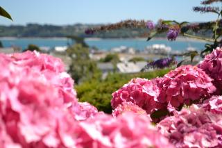 Ma Ripoz B&B - Suite vue mer - 1