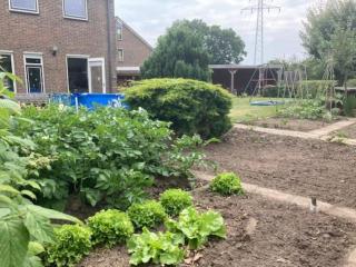 Twee-onder-een-kap, ruime tuin, stad - 7