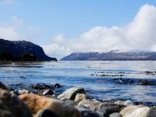 Aline's Stue, B&B Utskarpen - Fuglstad - 9