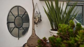 Loft REMEDIOS - penthouse CDMX - áreas comunes compartidas - Città del Messico - 7